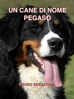 cover image of Un cane di nome Pegaso